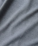 消臭ドライアルティマポロ【BLUE STANDARD/ブルースタンダード】