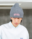 【BEN DAVIS/ベンデイビス】カレッジロゴ ニットキャップビーニー