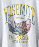 裏毛グラフィック BIG スウェット DISCUS