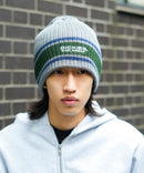 【Dickies/ディッキーズ】ラインロゴニットビーニー zo