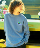 ワンポイント ロゴ ロンT RAGGED MOUNTAIN