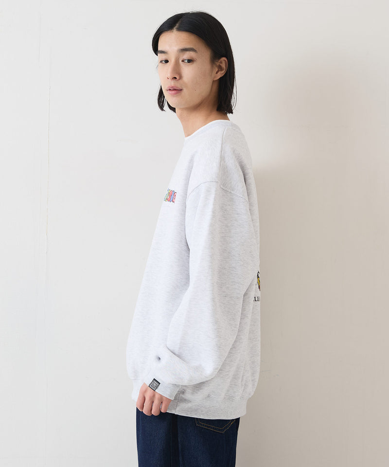 【VISION STREET WEAR/ヴィジョンストリートウェア】MONSTER LOGO SWEAT/オーバーサイズ 裏起毛 バックプリント ロゴ ワンポイント スウェット トレーナー/レディース メンズ zo