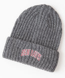 【BEN DAVIS/ベンデイビス】カレッジロゴ　ニットキャップビーニー