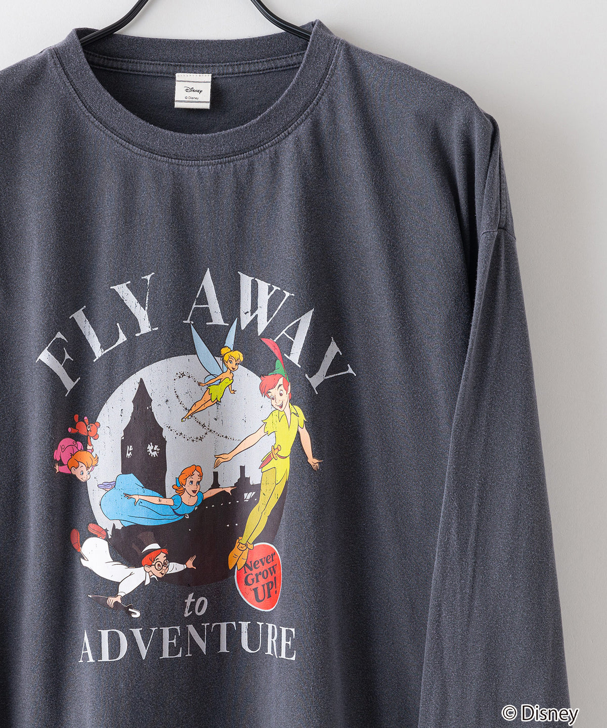 DISNEY/ディズニー 「ピーター・パン」「7人のこびと」パウダー