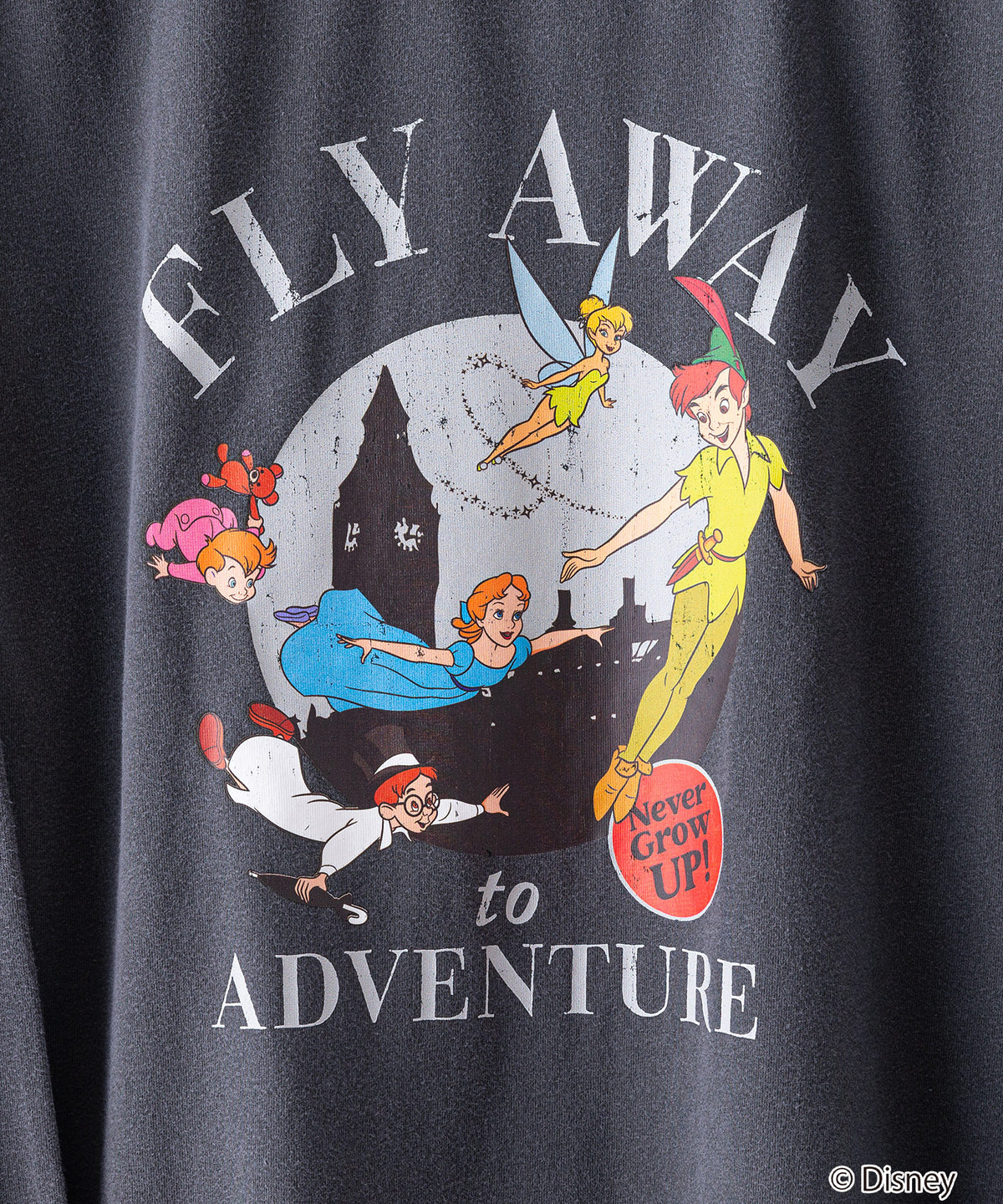 2938.海外ディズニークルーズラインピン アーティストチョイス ピーターパン ディズニー・トレジャー」船尾にはフック船長とピーター・パンが登場