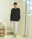 BEEFY ワンポイント ロング Tシャツ ロンT ビーフィー HANES ヘインズ　H8-X401