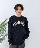 【Champion/チャンピオン】USAコットン100％ プリントロンT zo