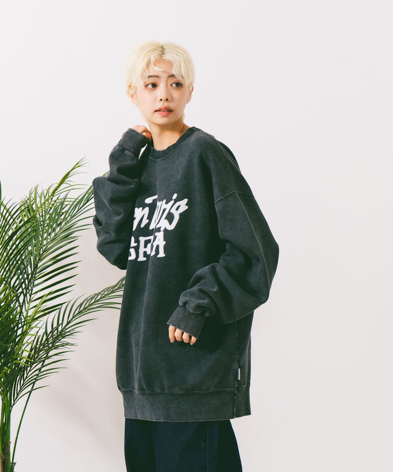 【BEN DAVIS/ベンデイビス】TAGGING FADED CREW/オーバーサイズ 裏起毛 ストリート バックプリント ロゴ ワンポイント スウェット トレーナー/レディース メンズ zo