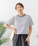 【C-FORT POINT/フォートポイント】ボーダークロップド丈Ｔシャツ