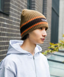 【Dickies/ディッキーズ】ラインロゴニットビーニー zo