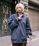 【BEN DAVIS/ベンデイビス】ワンポイントキモウハーフジップ ヘビーウェイトスウェット ワンポイント刺繍 裏起毛