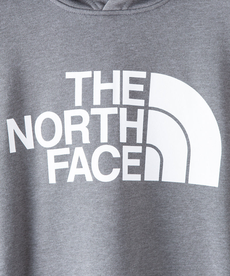 【公式通販限定取扱商品】THE NORTH FACE ザ ノースフェイス Half Dome Hoodie ハーフドーム フーディ プル パーカー ユニセックス